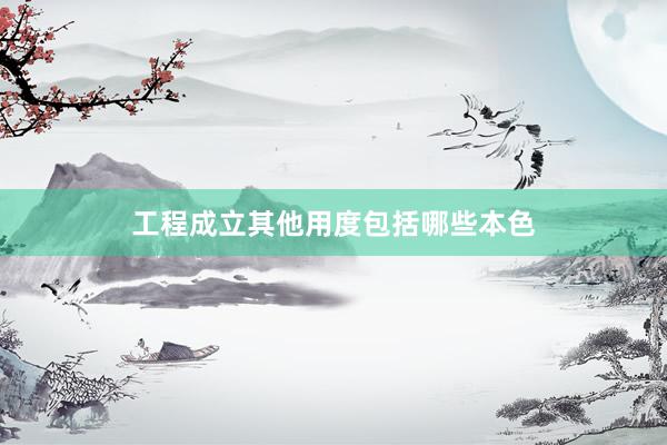 工程成立其他用度包括哪些本色