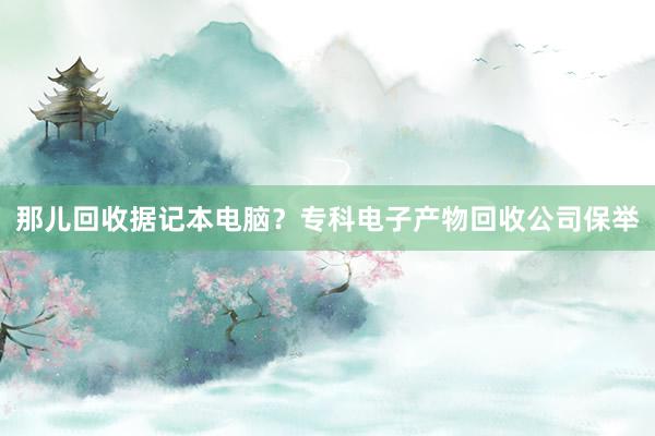 那儿回收据记本电脑？专科电子产物回收公司保举