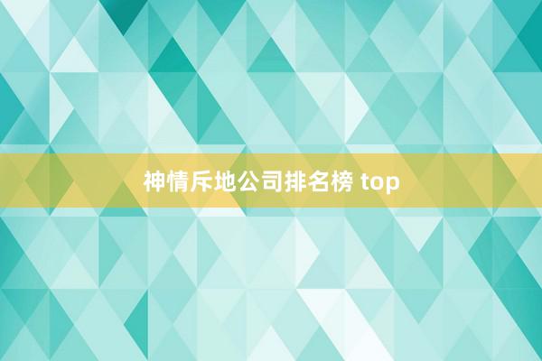 神情斥地公司排名榜 top